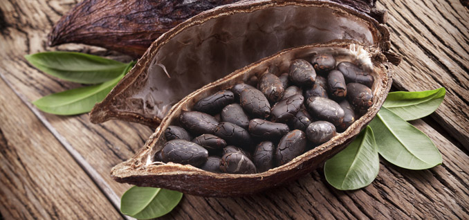 Kakao Nachhaltigkeit